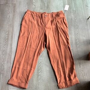 a new day Women's Rust Straight Leg Pants terracotta color. Size 18 NWT